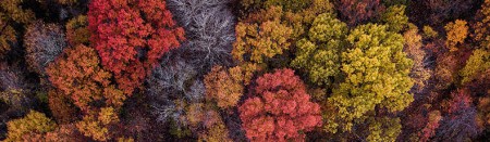 Herbst pro:Holz Steiermark